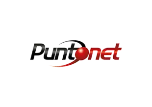 Puntonet